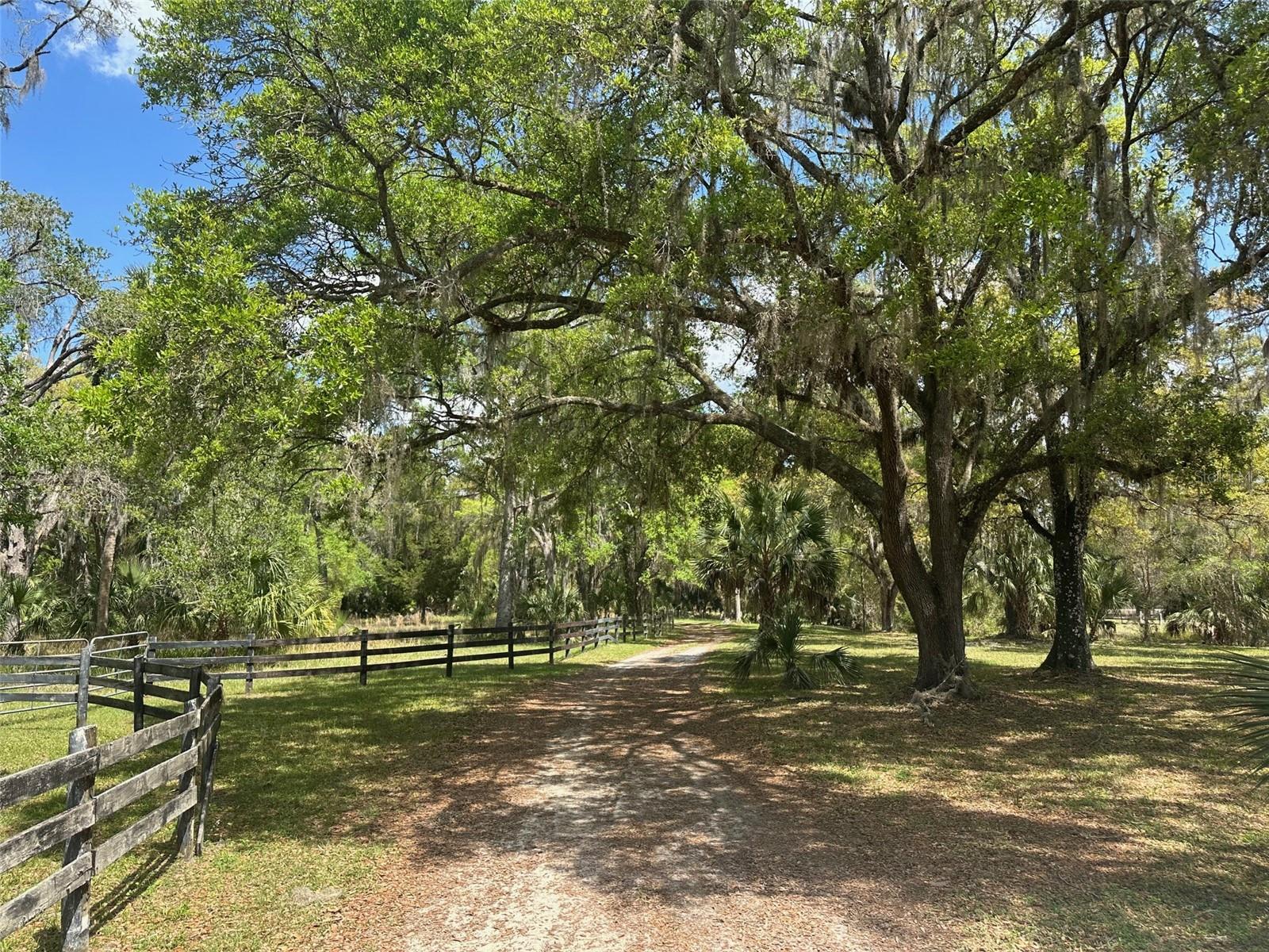 12501 SW HIGHWAY 200, DUNNELLON, FL, 34432