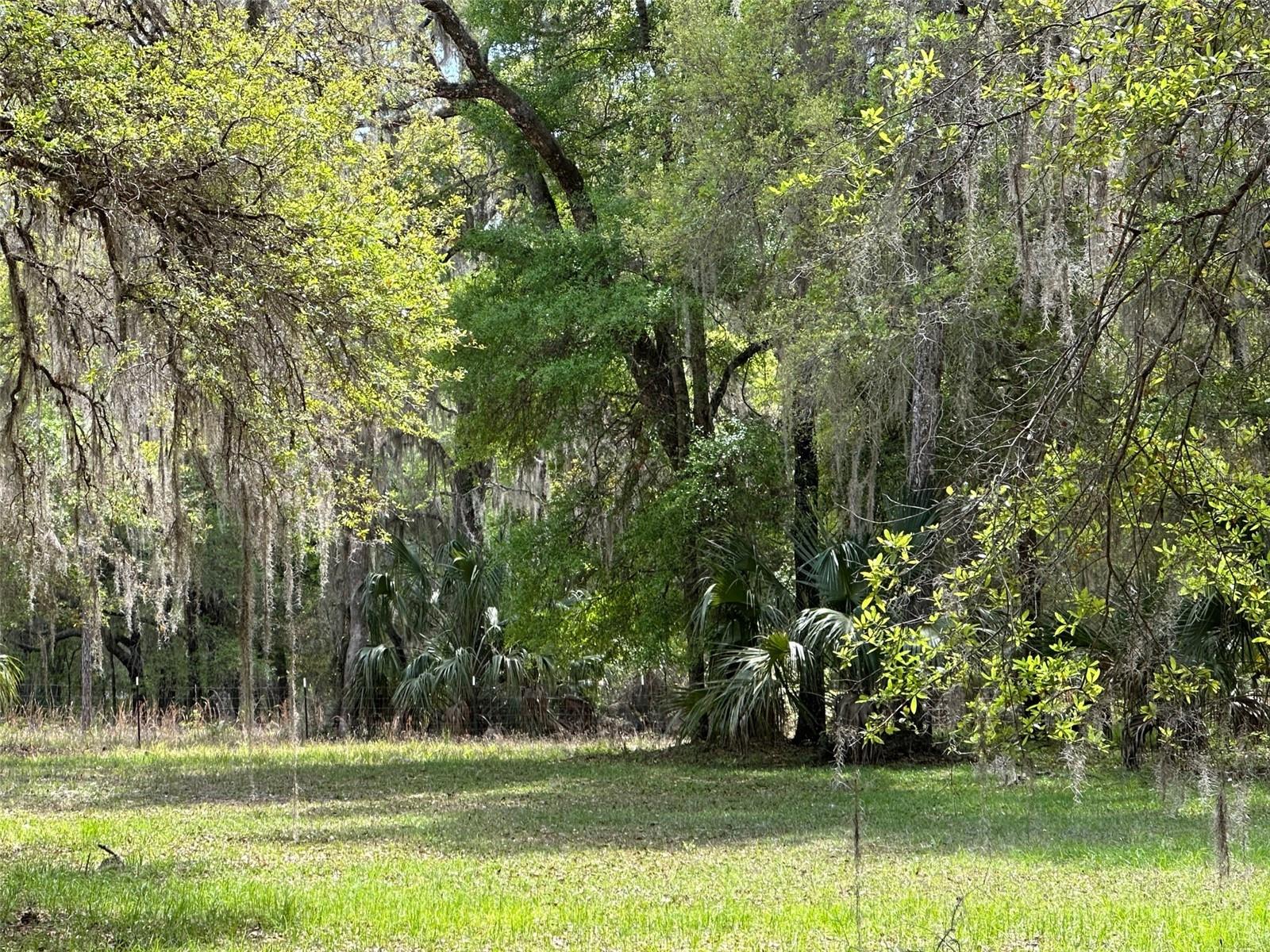 12501 SW HIGHWAY 200, DUNNELLON, FL, 34432