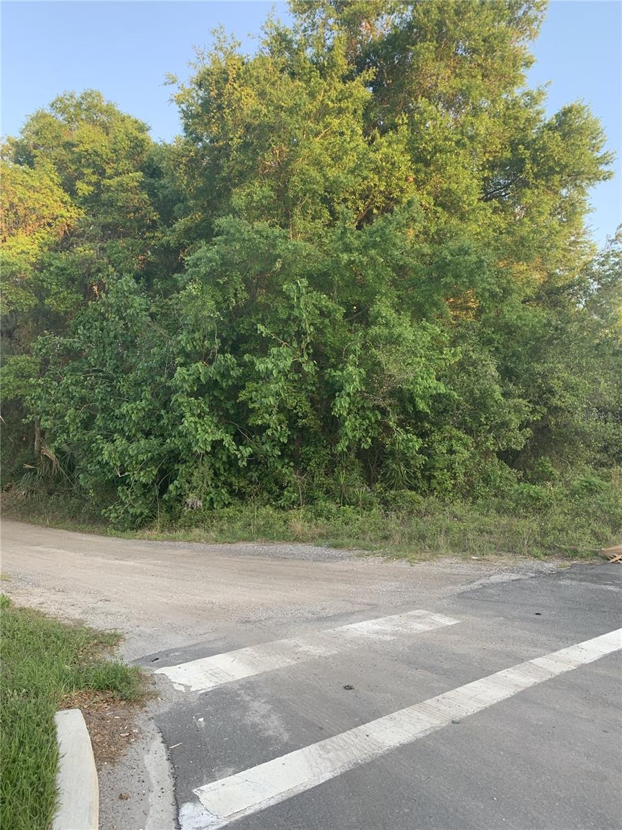 18111 N US HWY 301, CITRA, FL, 32113