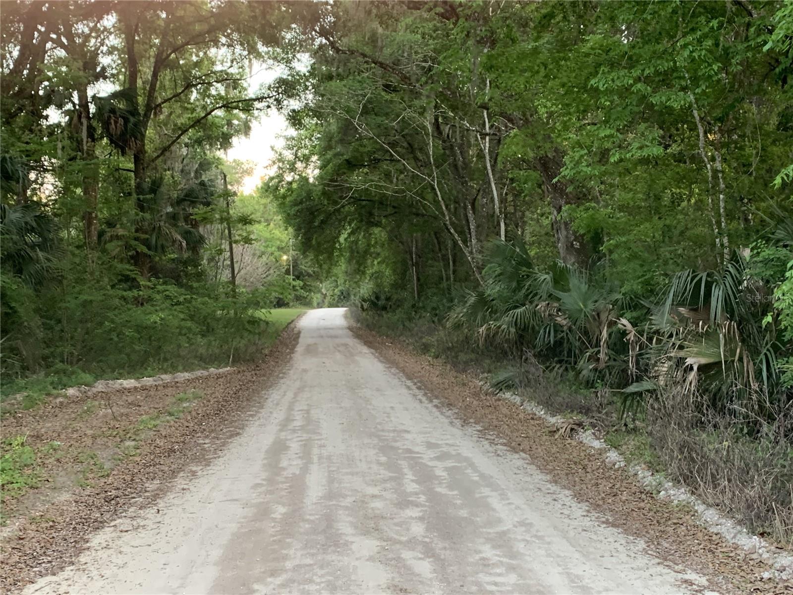 18111 N US HWY 301, CITRA, FL, 32113
