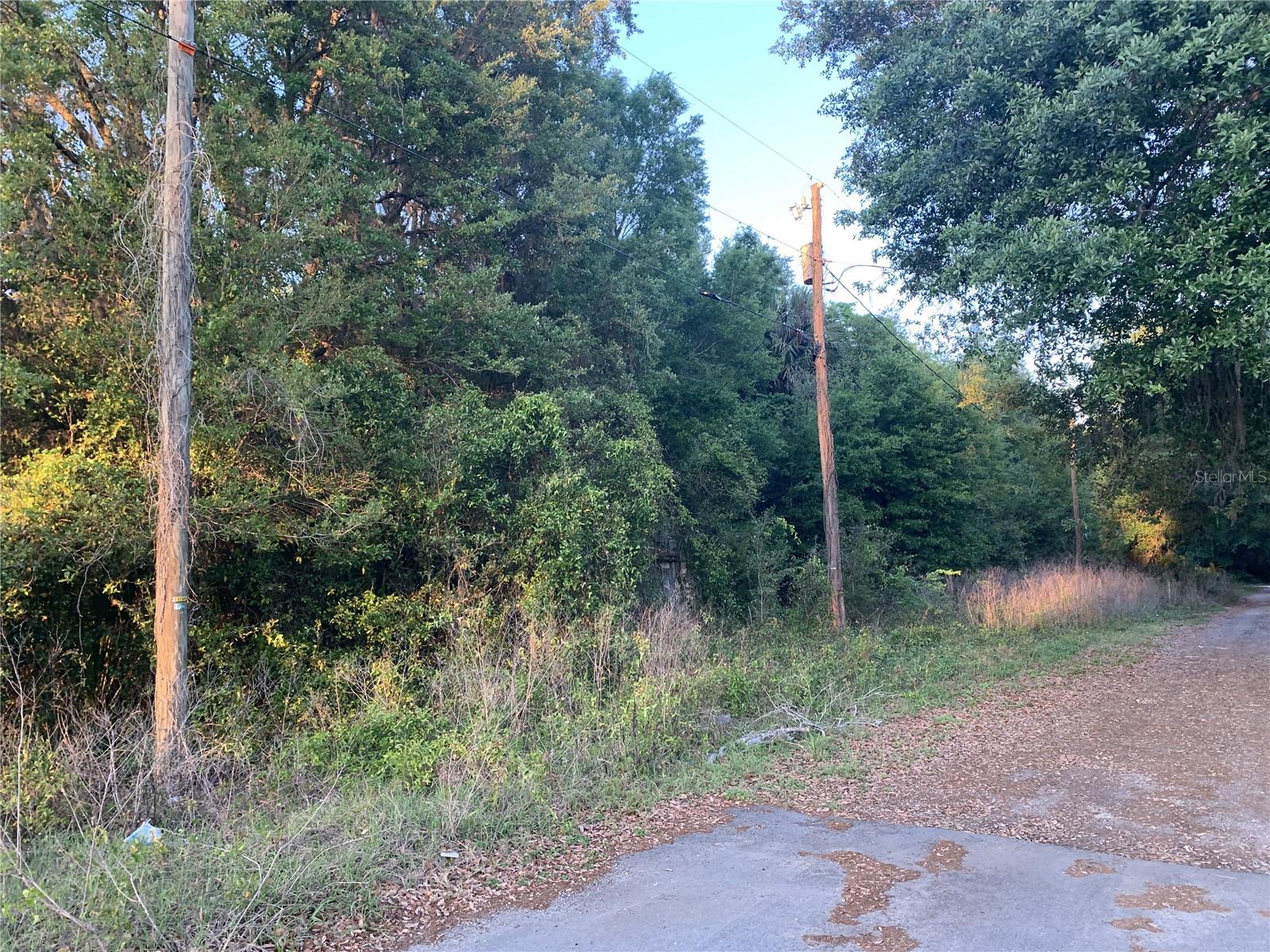 18111 N US HWY 301, CITRA, FL, 32113