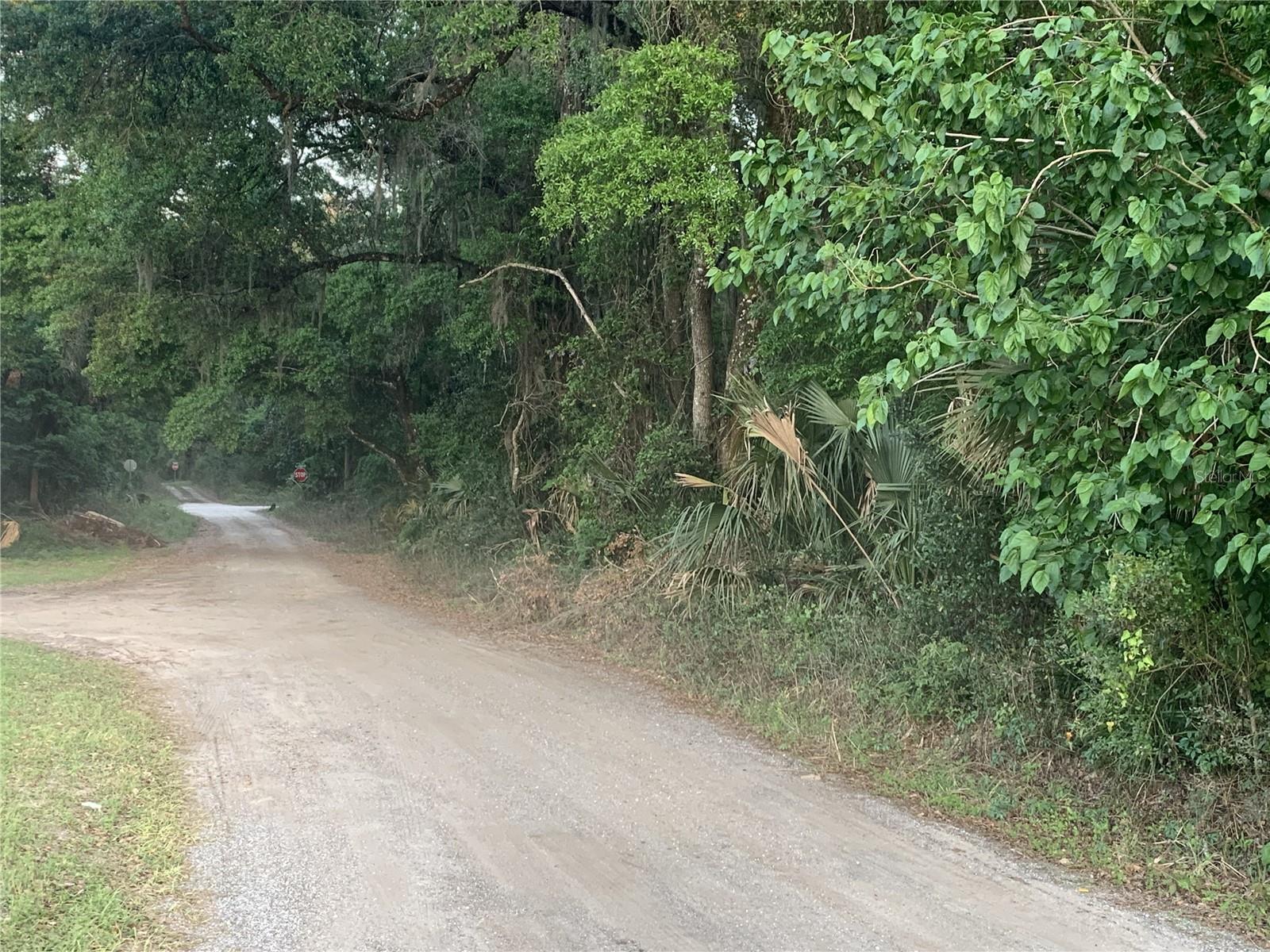 18111 N US HWY 301, CITRA, FL, 32113