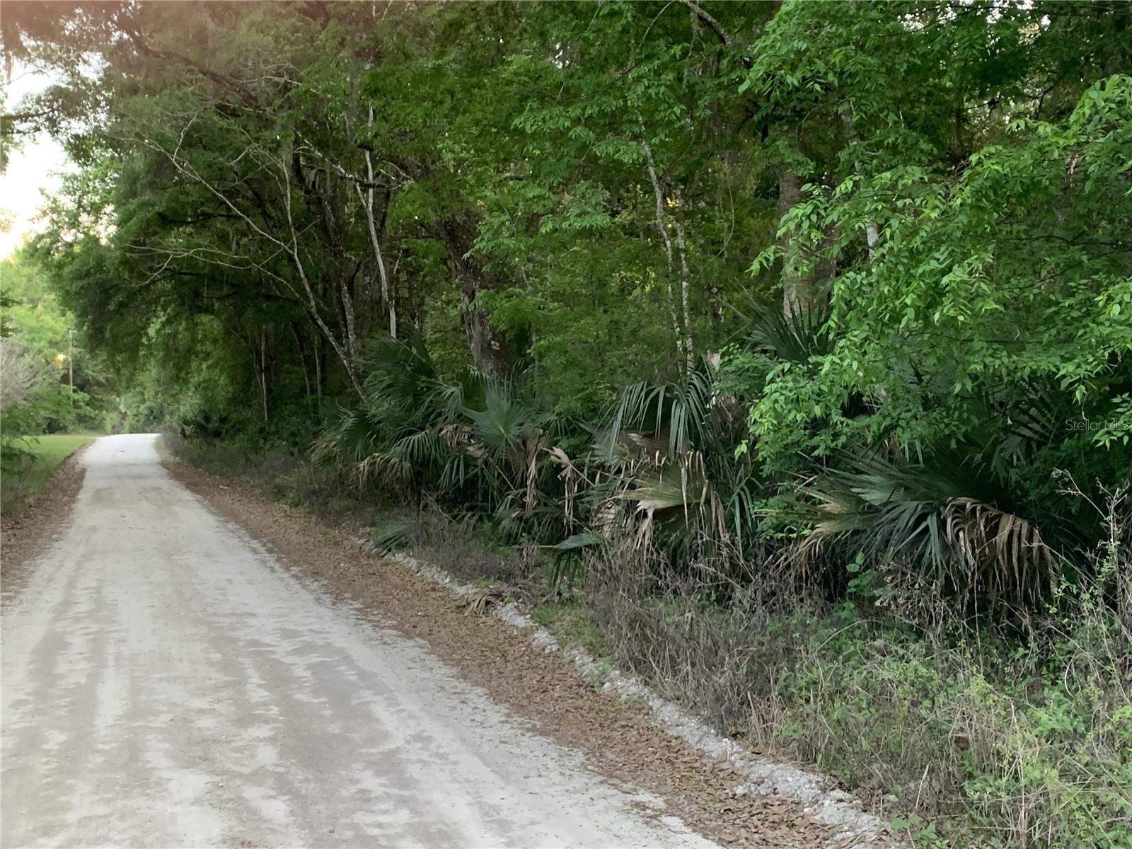 18111 N US HWY 301, CITRA, FL, 32113