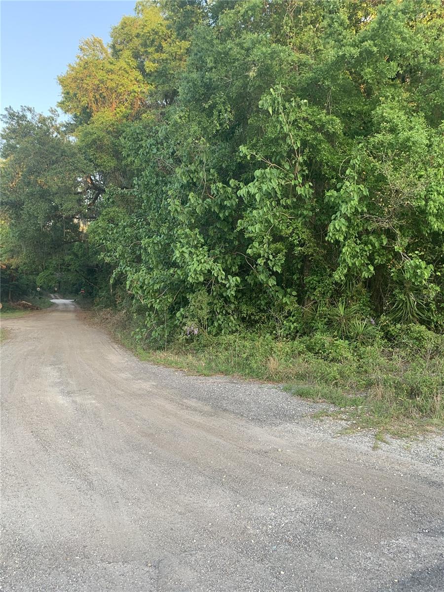 18111 N US HWY 301, CITRA, FL, 32113