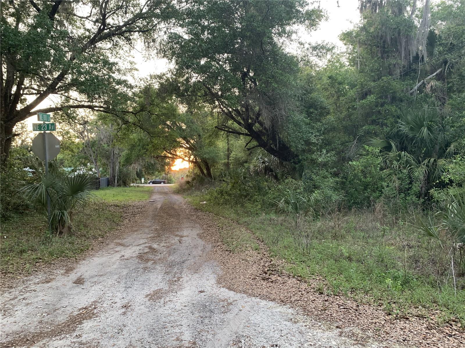 18111 N US HWY 301, CITRA, FL, 32113