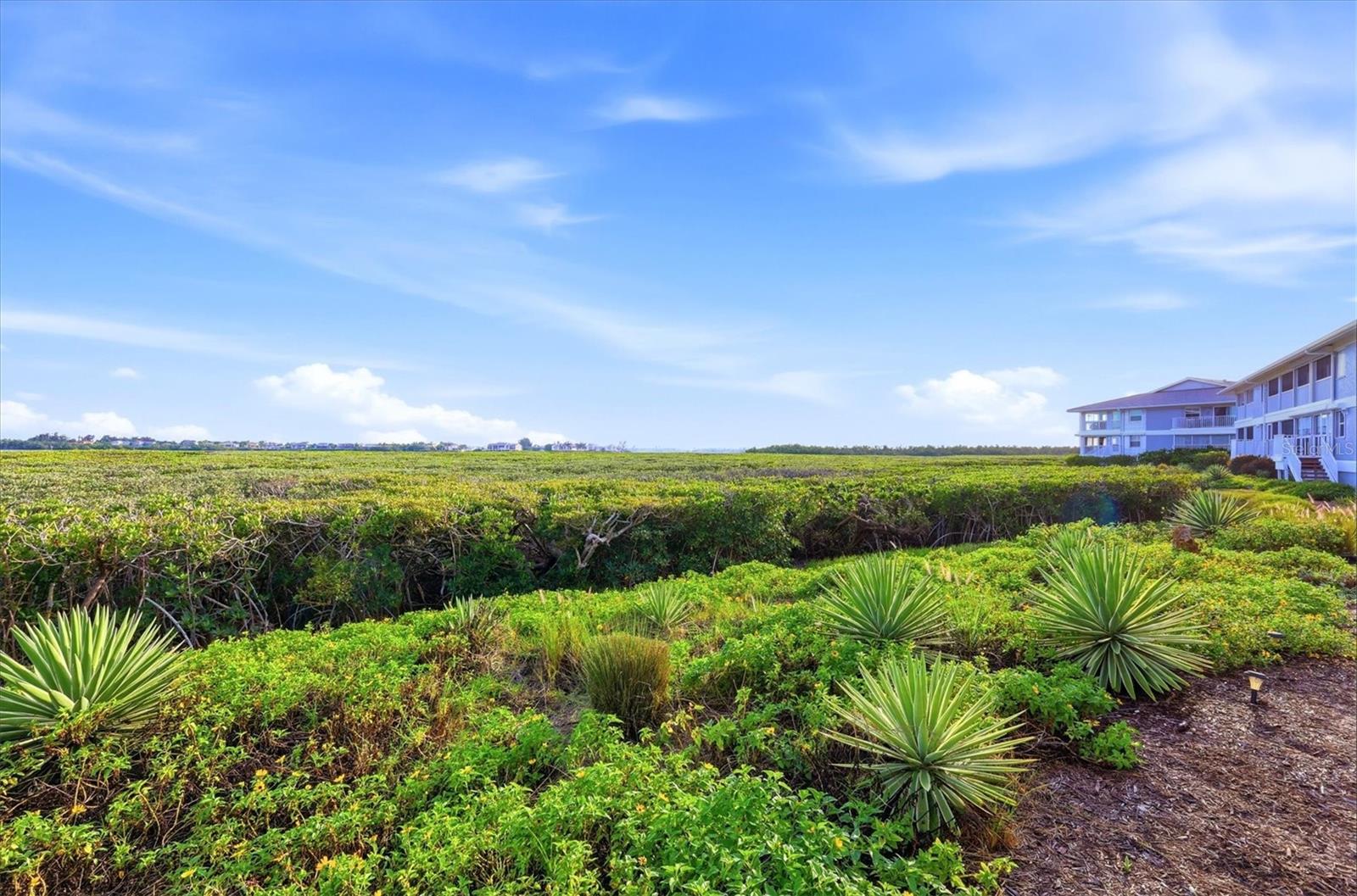 1323 PERICO POINT CIR #107, BRADENTON, FL, 34209