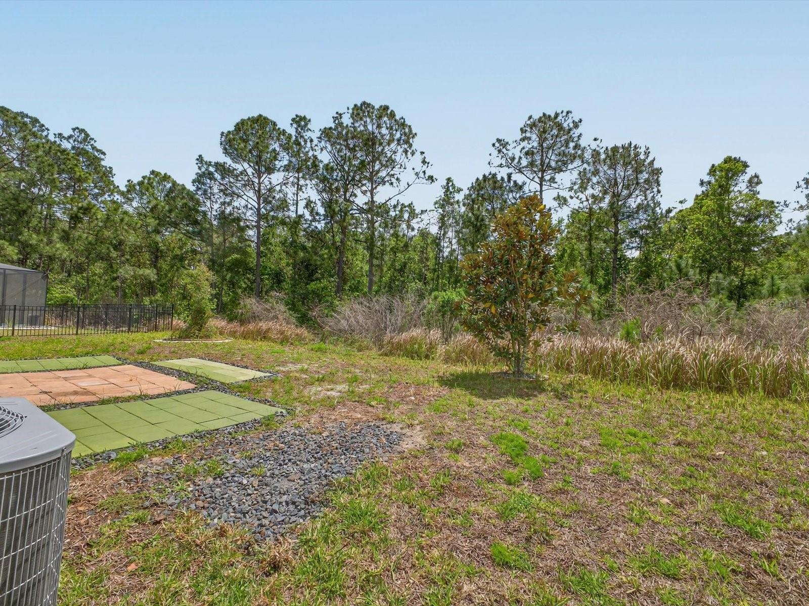 2894 CAMDEN WAY, DAVENPORT, FL, 33837