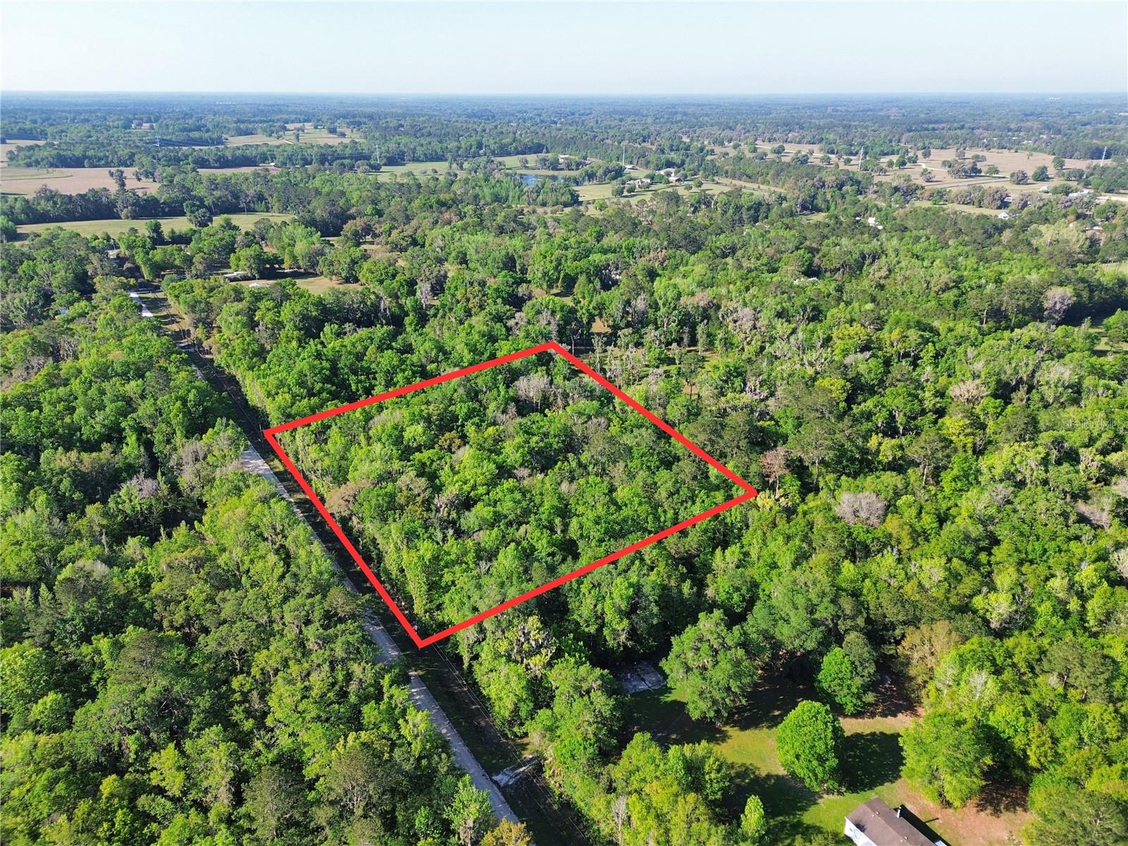 0 NW 144TH AVENUE, WILLISTON, FL, 32696