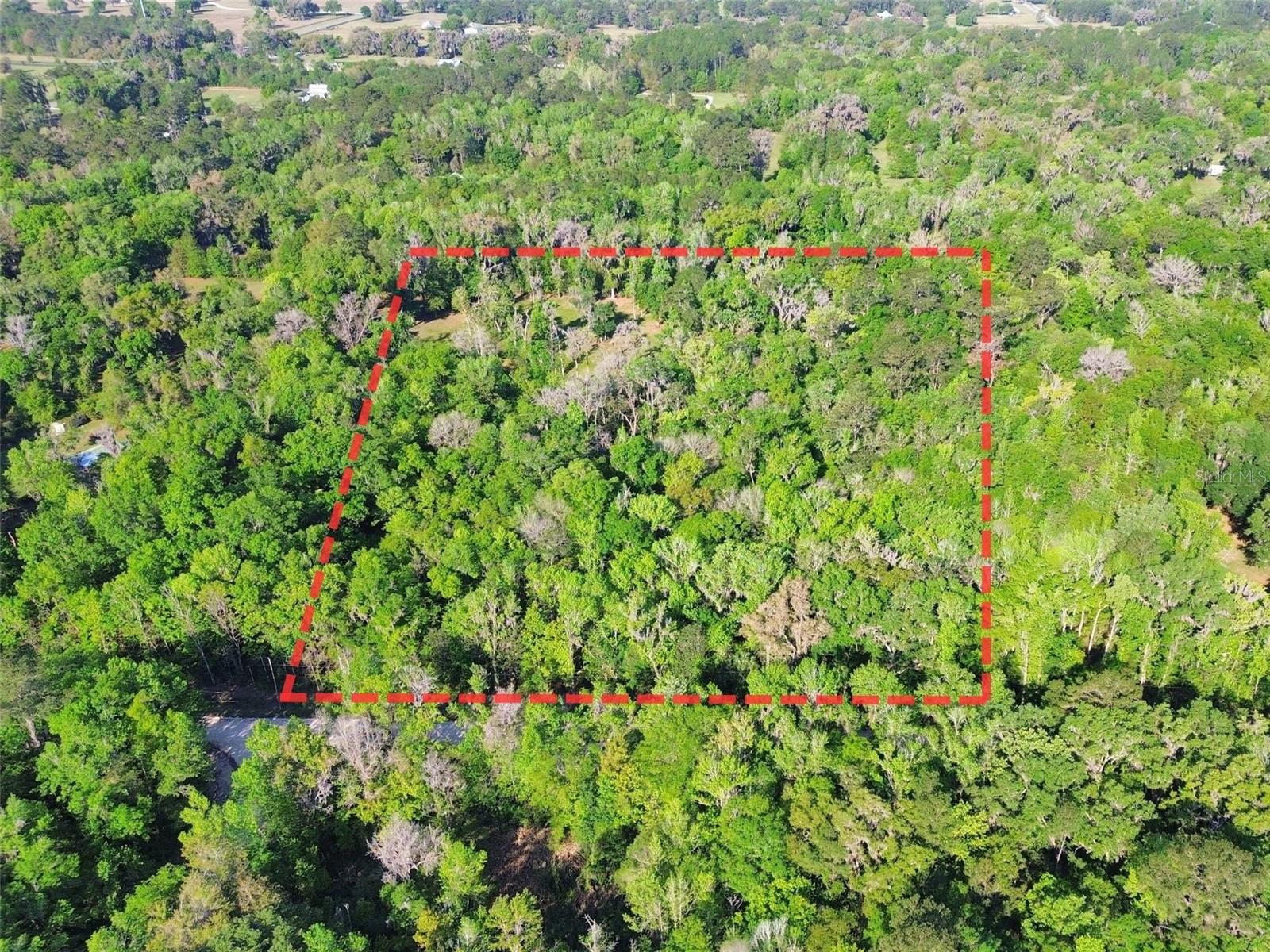 0 NW 144TH AVENUE, WILLISTON, FL, 32696