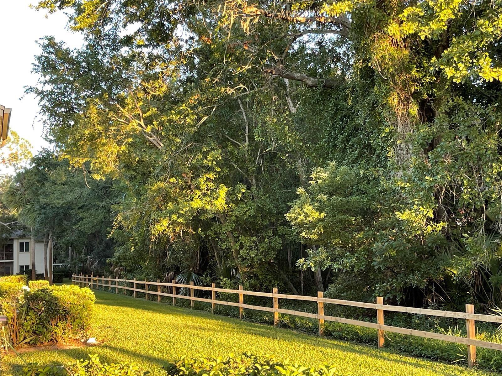 102 PALMETTO CT #2, OLDSMAR, FL, 34677