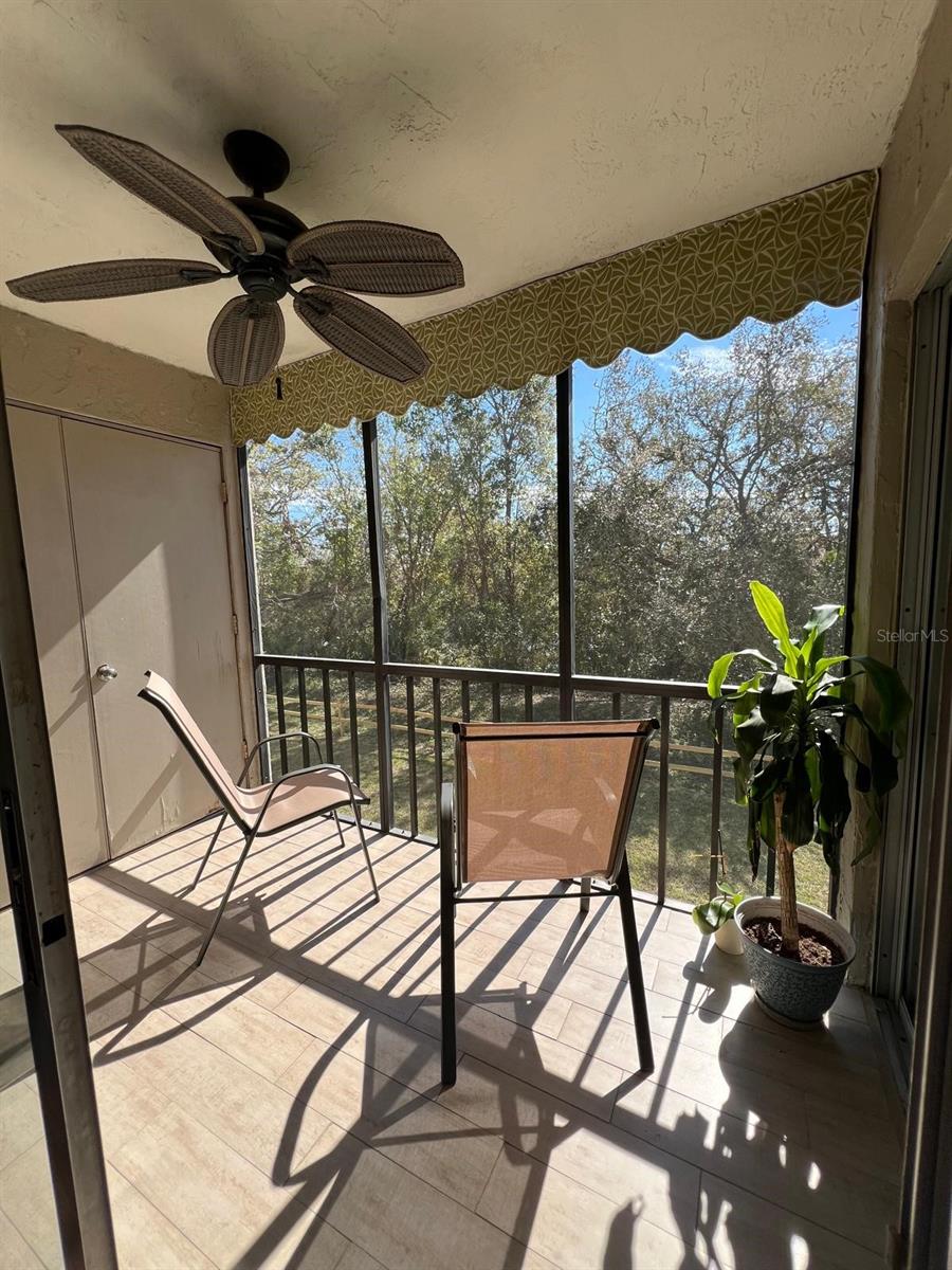 102 PALMETTO CT #2, OLDSMAR, FL, 34677