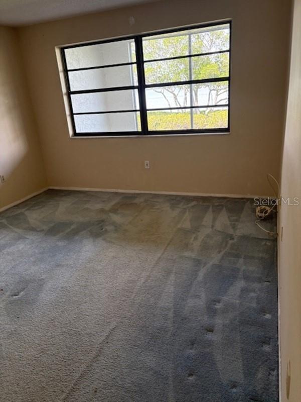 2980 HAINES BAYSHORE RD #109, CLEARWATER, FL, 33760