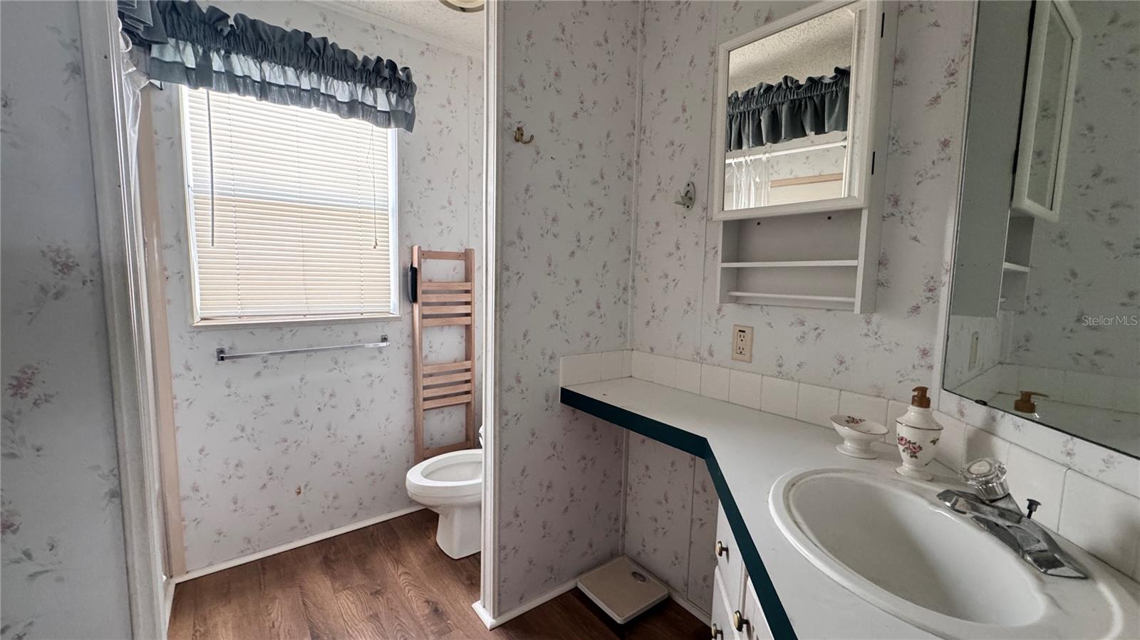 236 RAMSGATE WAY, HAINES CITY, FL, 33844