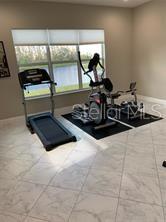 16015 CAPE CORAL DR, WIMAUMA, FL, 33598