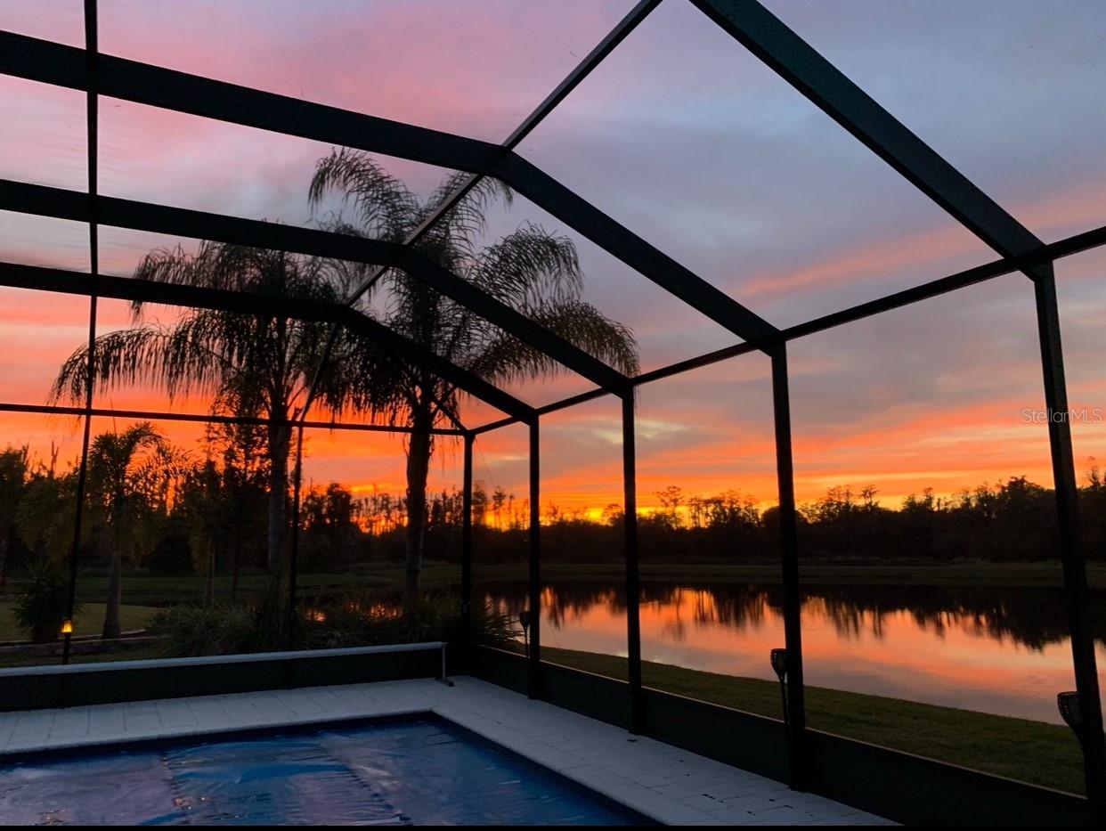 16015 CAPE CORAL DR, WIMAUMA, FL, 33598