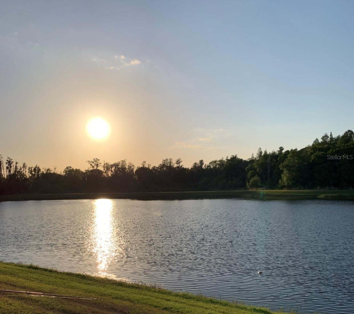 16015 CAPE CORAL DR, WIMAUMA, FL, 33598