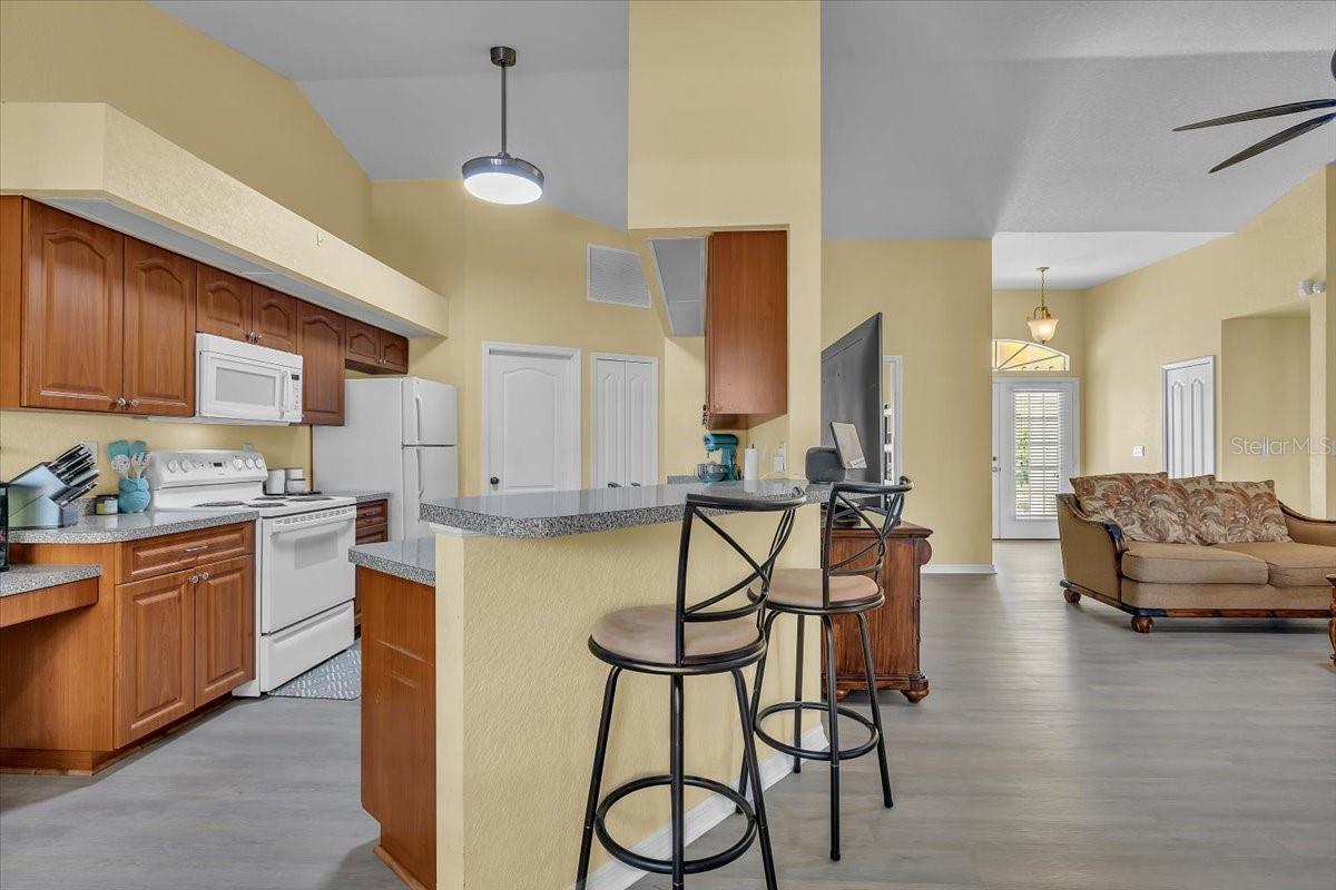 27394 NATAL DR, PUNTA GORDA, FL, 33983