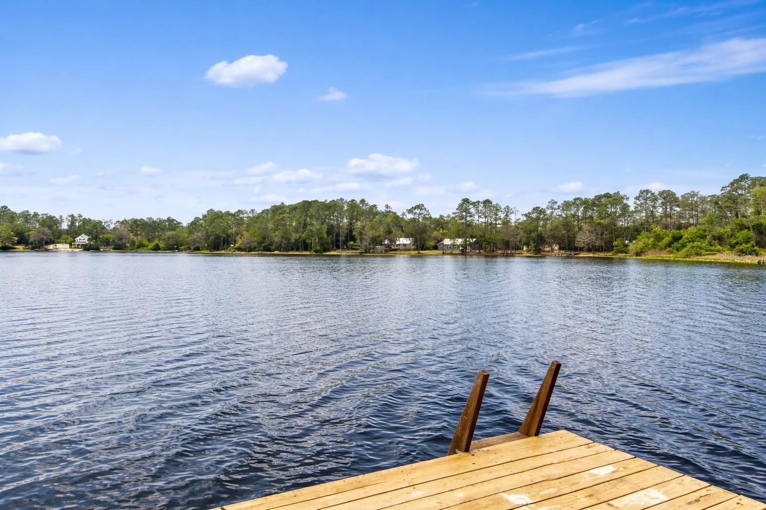 299 RILEY LAKE DR, HAWTHORNE, FL, 32640