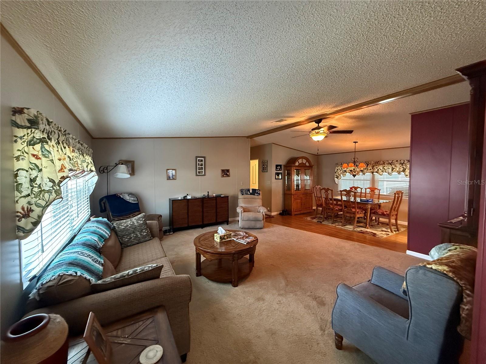 807 OAK BLVD, WILDWOOD, FL, 34785
