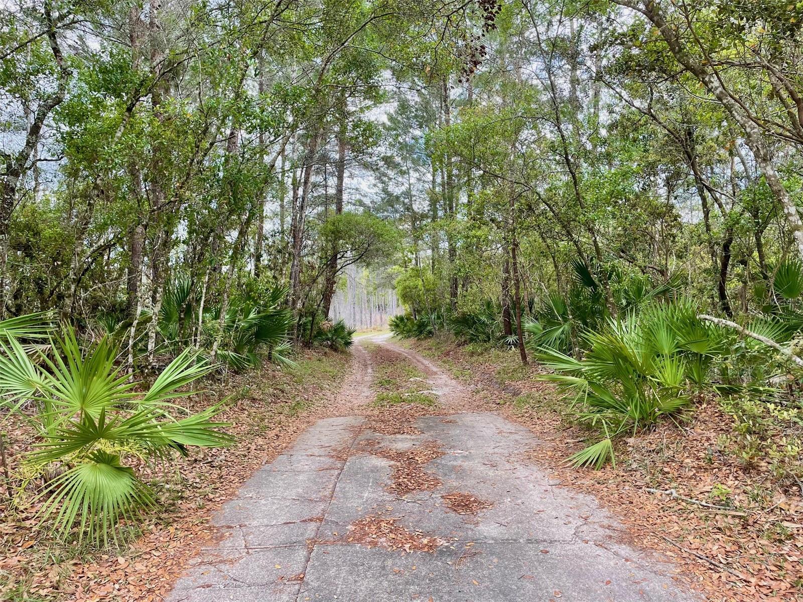 349 SEMINOLE WOODS BLVD, GENEVA, FL, 32732