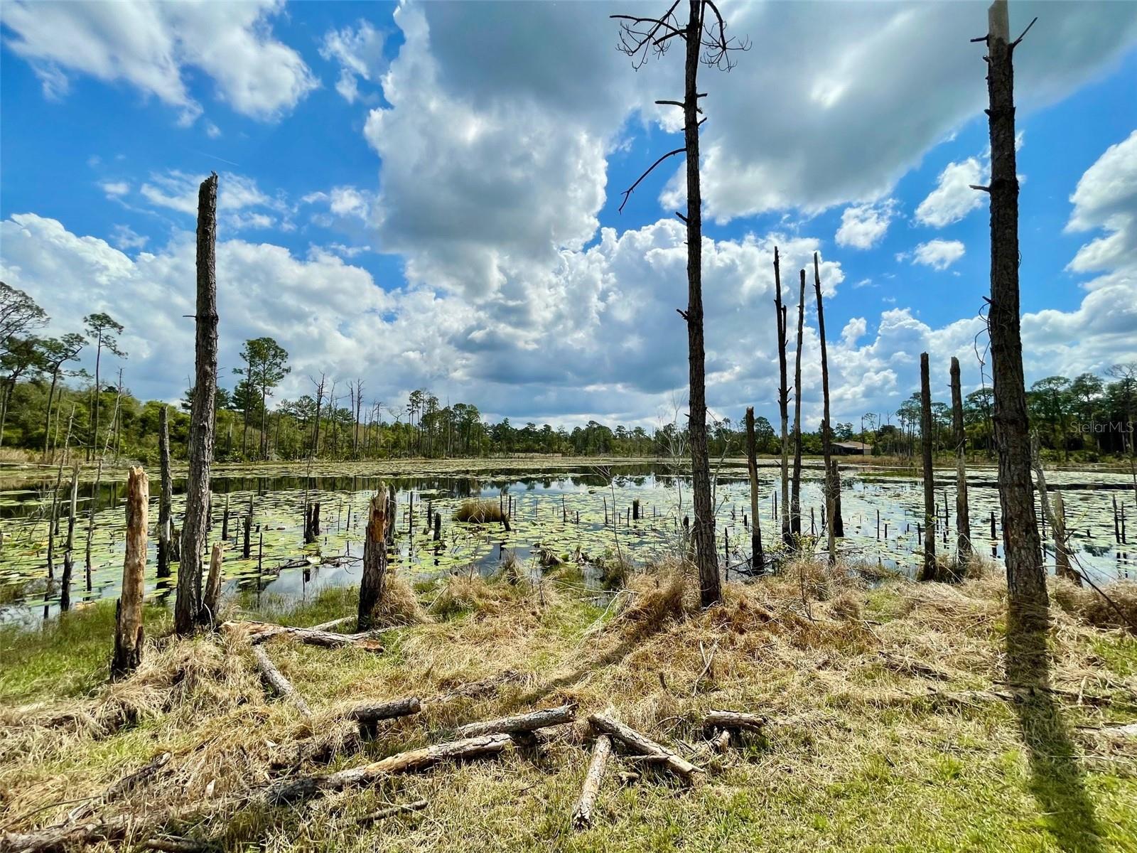 349 SEMINOLE WOODS BLVD, GENEVA, FL, 32732