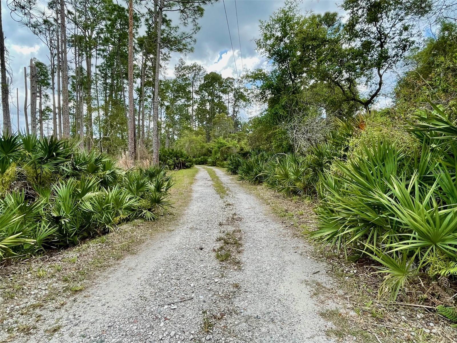 349 SEMINOLE WOODS BLVD, GENEVA, FL, 32732