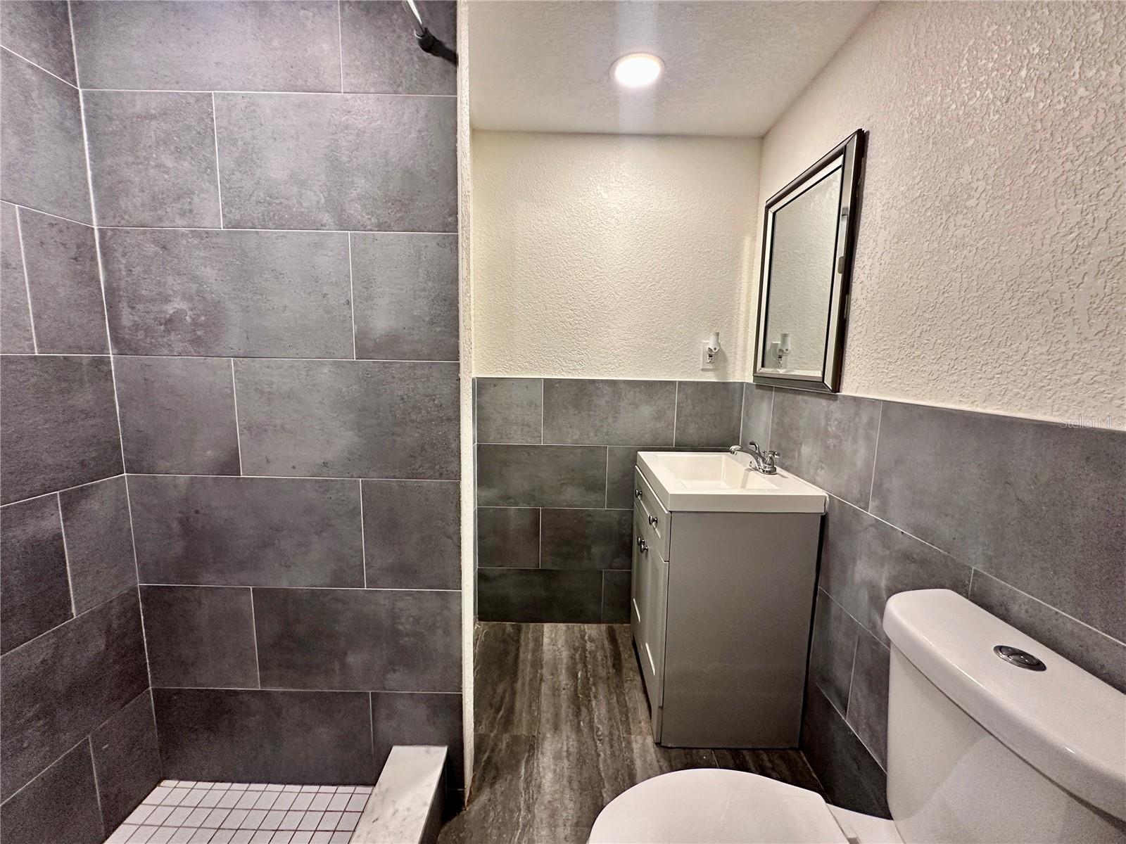 Primary Bathroom-plumbing needs addressed