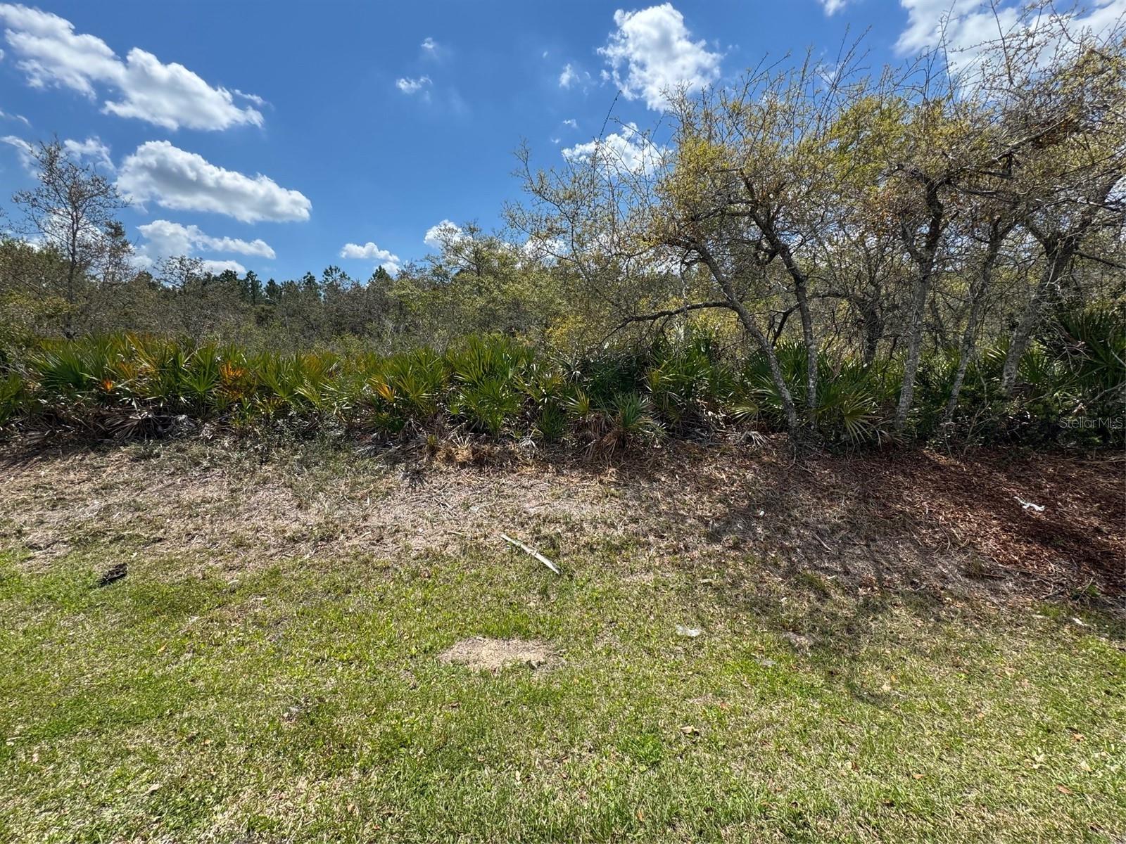 26 LOUISVILLE DR, PALM COAST, FL, 32137