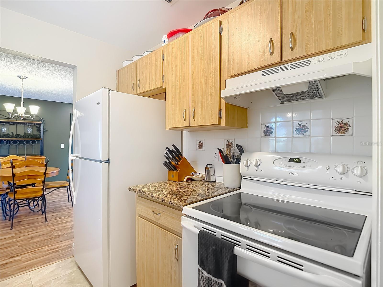 541 EDGEHILL AVE, SPRING HILL, FL, 34606