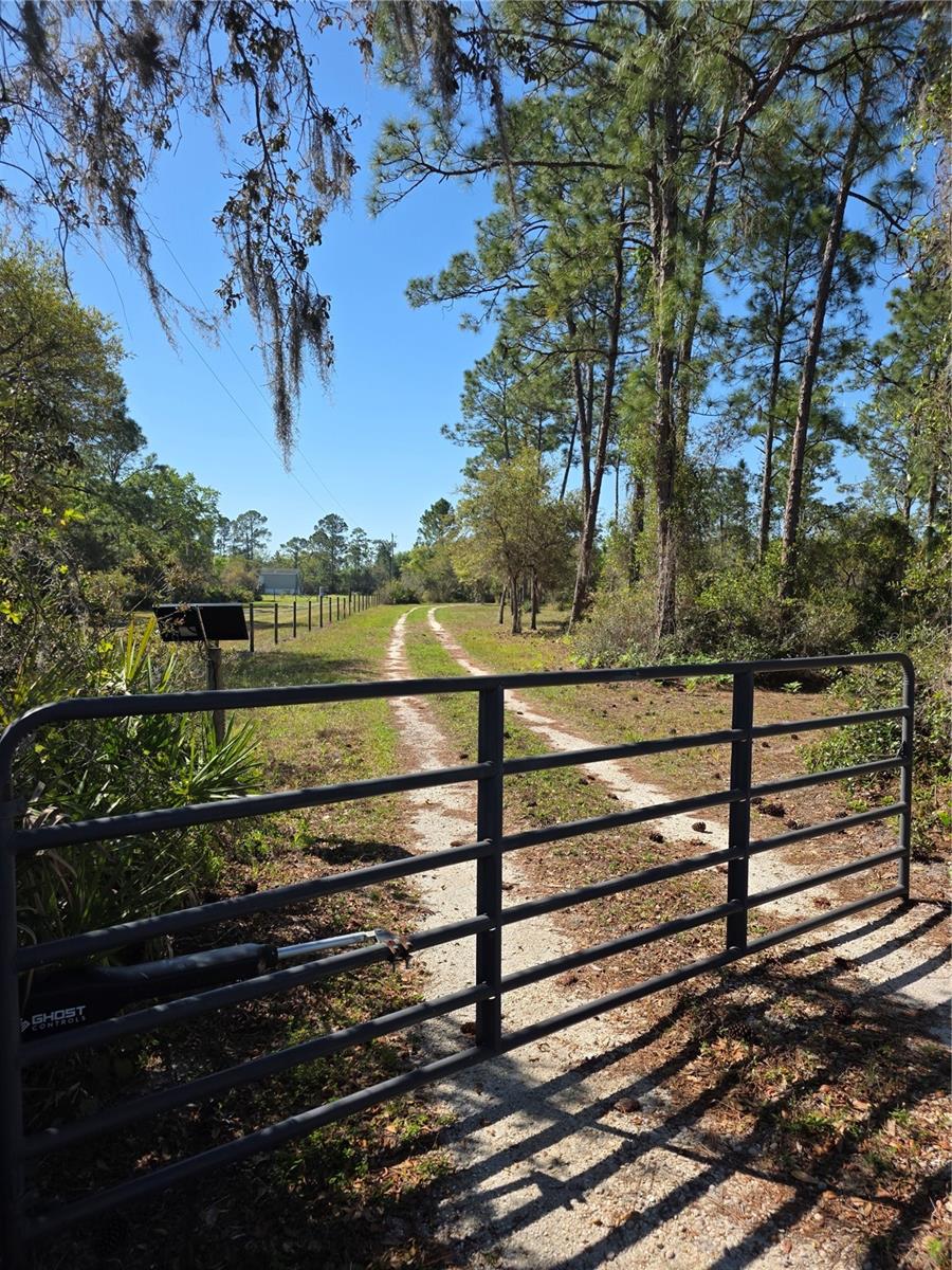 1991 ROSALIE LAKE RD, LAKE WALES, FL, 33898