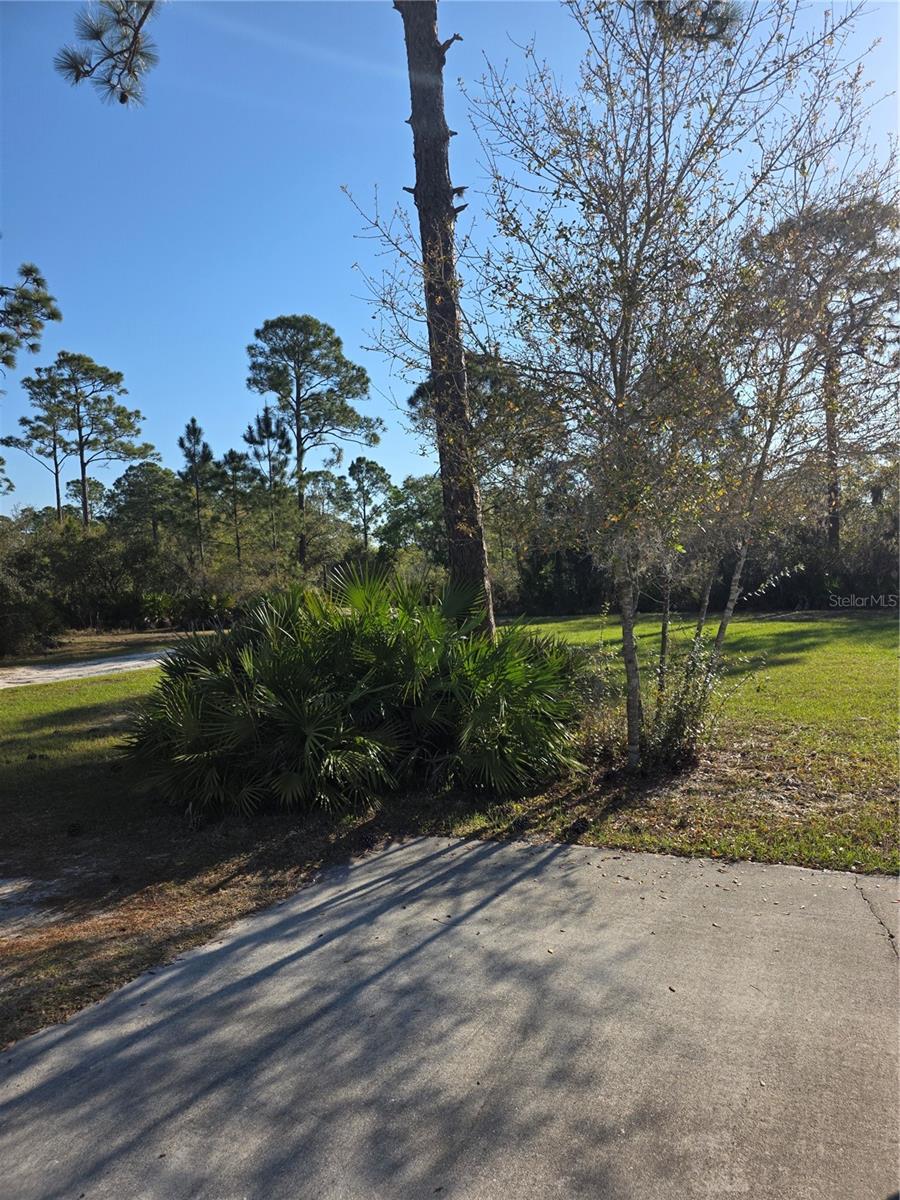 1991 ROSALIE LAKE RD, LAKE WALES, FL, 33898