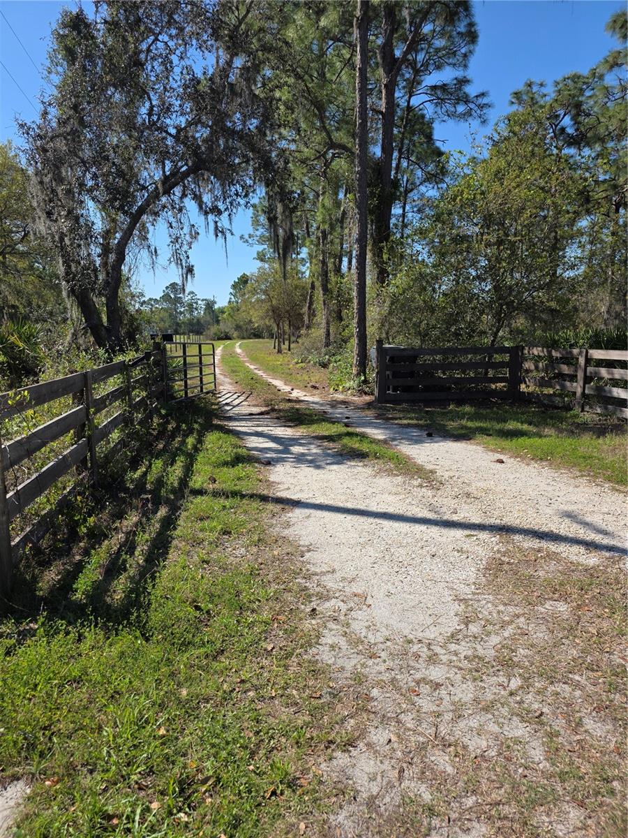 1991 ROSALIE LAKE RD, LAKE WALES, FL, 33898