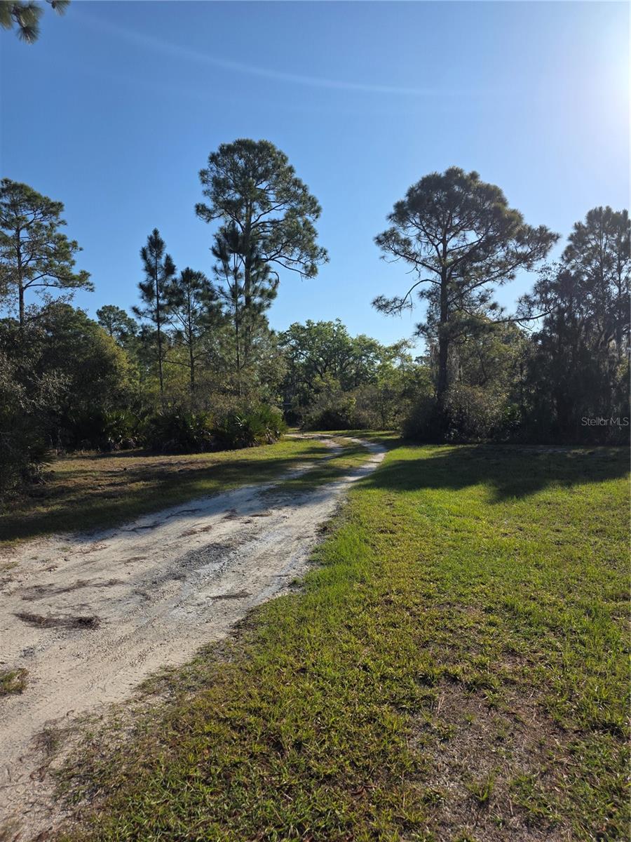 1991 ROSALIE LAKE RD, LAKE WALES, FL, 33898