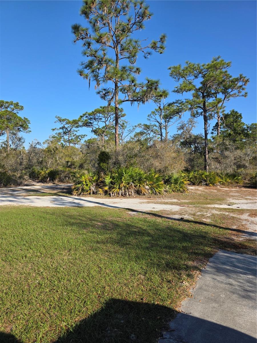 1991 ROSALIE LAKE RD, LAKE WALES, FL, 33898