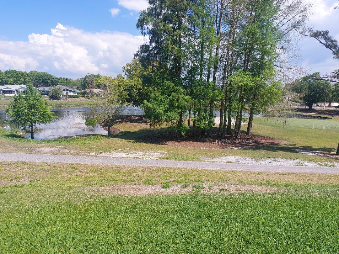 1207 GILLESPIE DR N, PALM HARBOR, FL, 34684