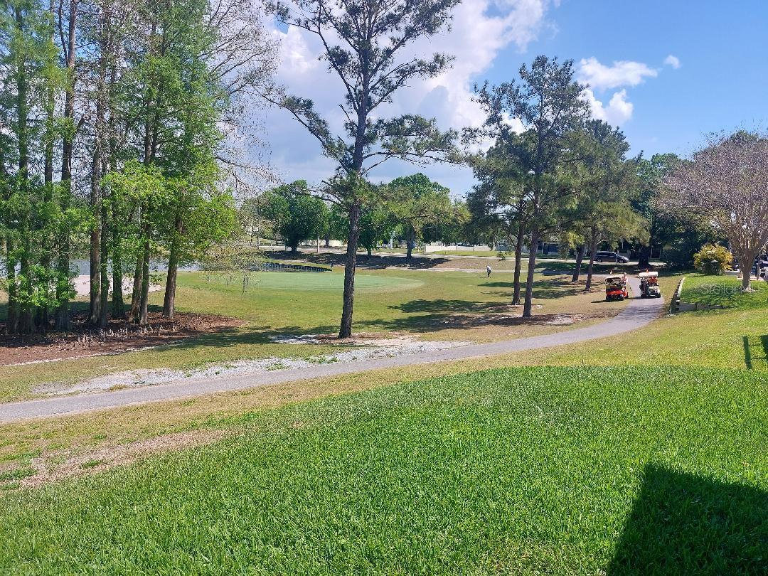 1207 GILLESPIE DR N, PALM HARBOR, FL, 34684