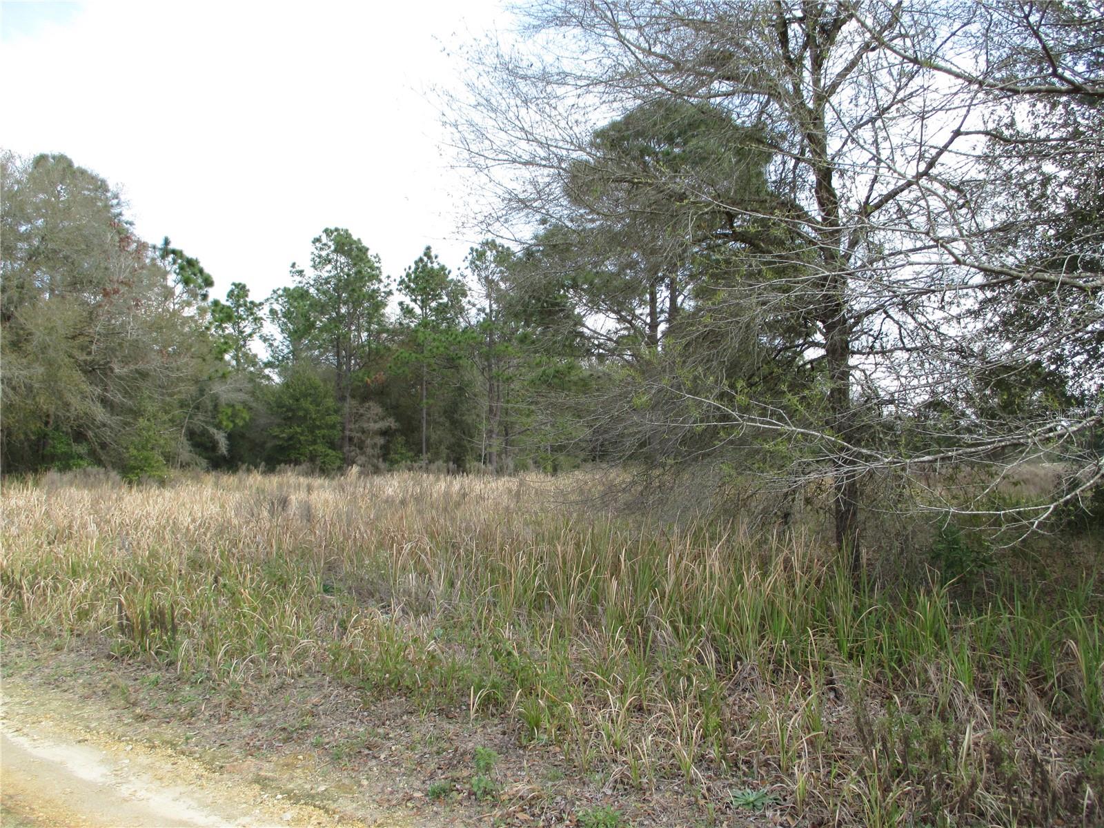 0 SW 24TH PL, OCALA, FL, 34481