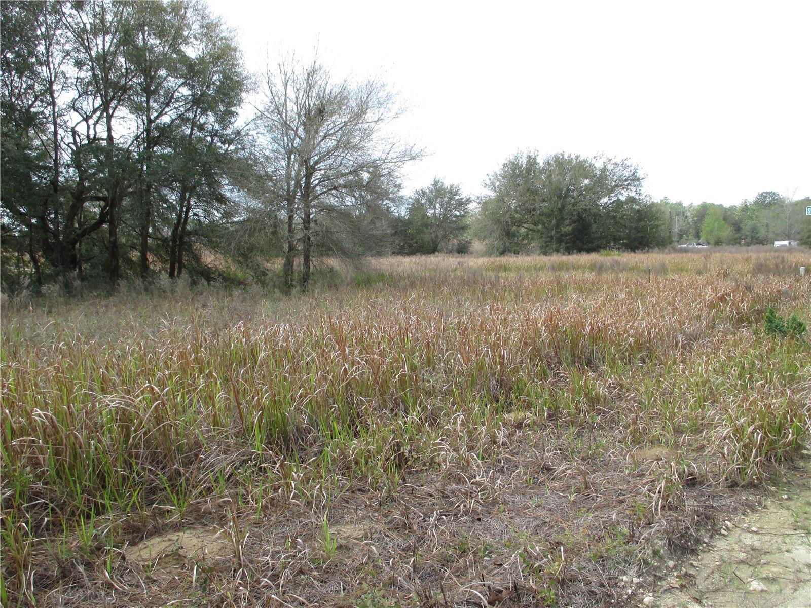 0 SW 24TH PL, OCALA, FL, 34481