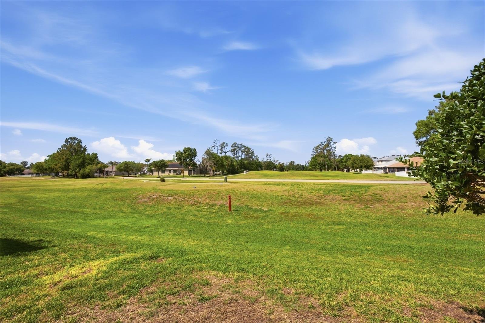 5917 WEDGEFIELD DR, ZEPHYRHILLS, FL, 33541