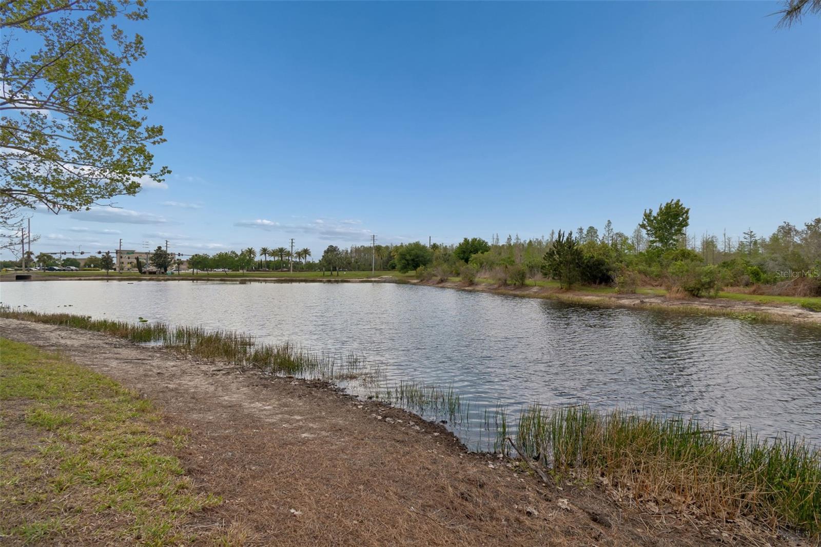 3313 CHESSINGTON DR, LAND O LAKES, FL, 34638