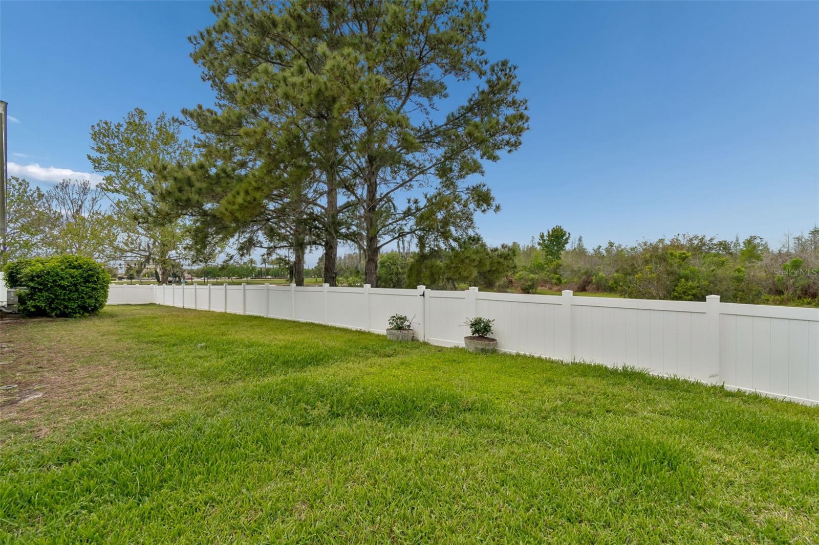 3313 CHESSINGTON DR, LAND O LAKES, FL, 34638