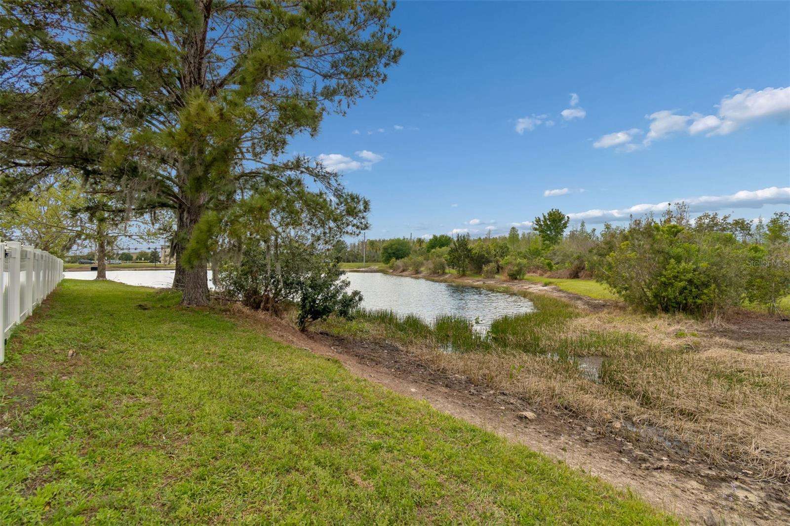 3313 CHESSINGTON DR, LAND O LAKES, FL, 34638