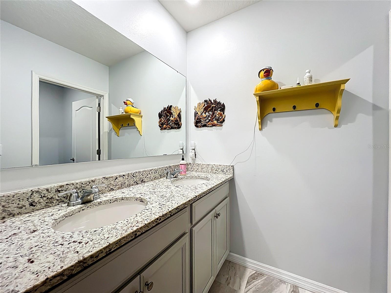 3657 CRIMSON CLOVER DR, MOUNT DORA, FL, 32757