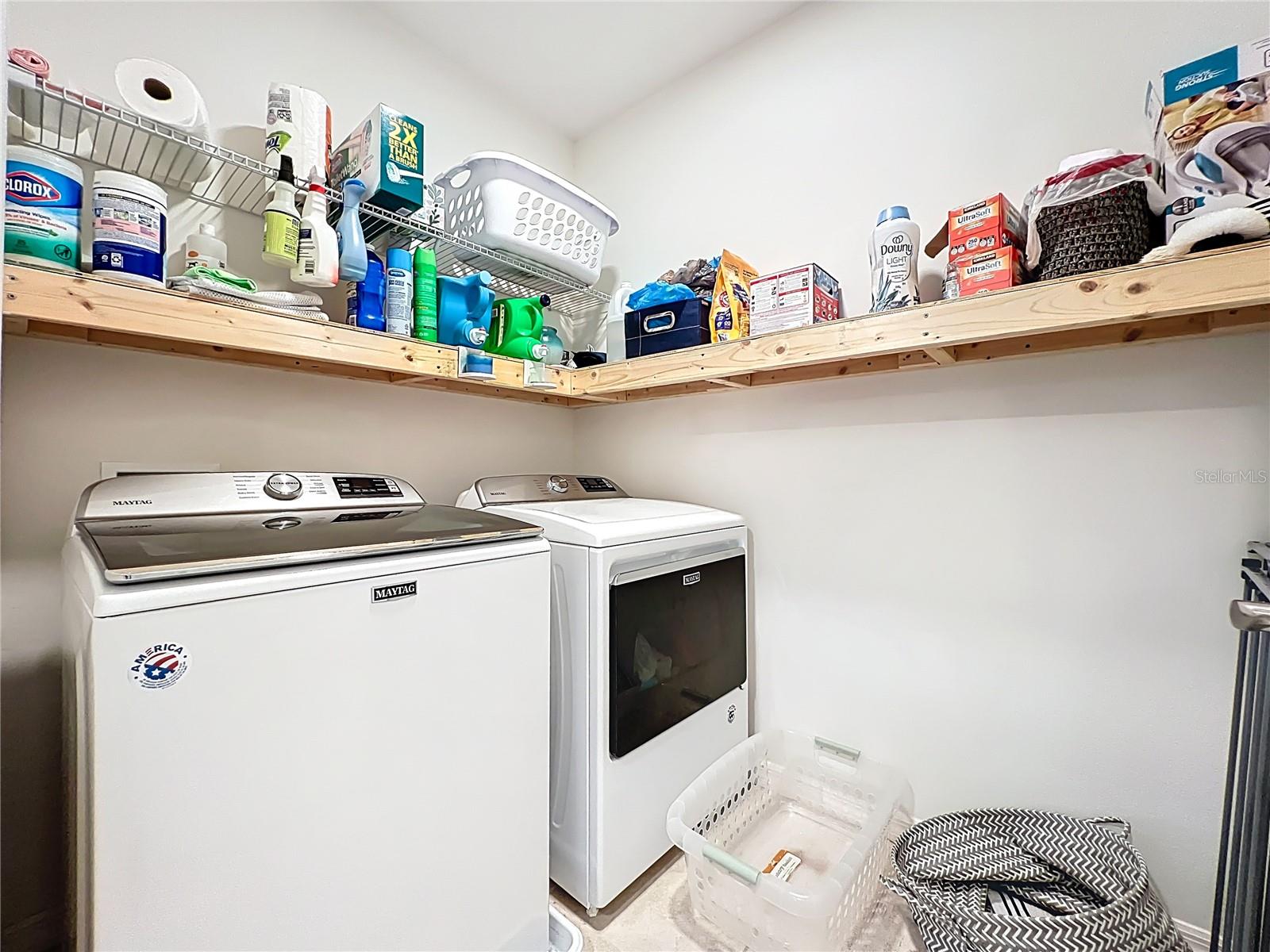 3657 CRIMSON CLOVER DR, MOUNT DORA, FL, 32757