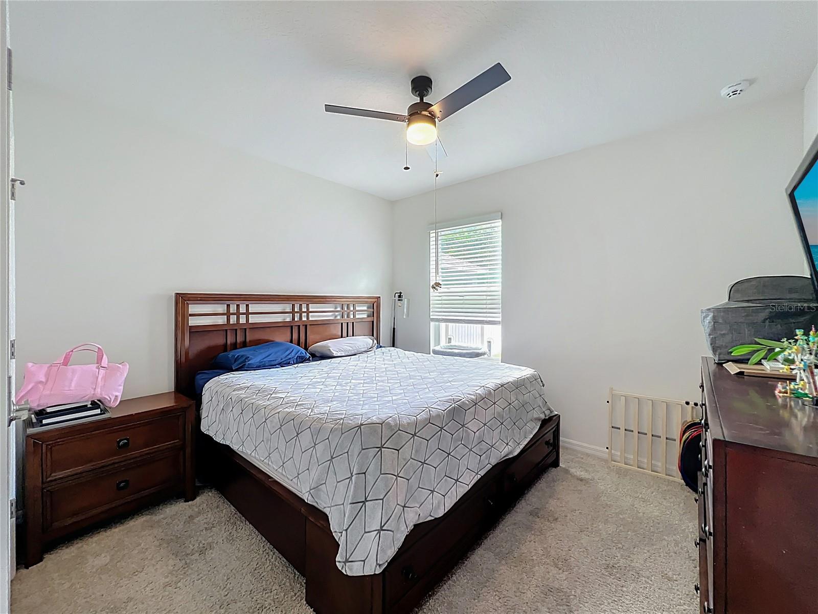 3657 CRIMSON CLOVER DR, MOUNT DORA, FL, 32757