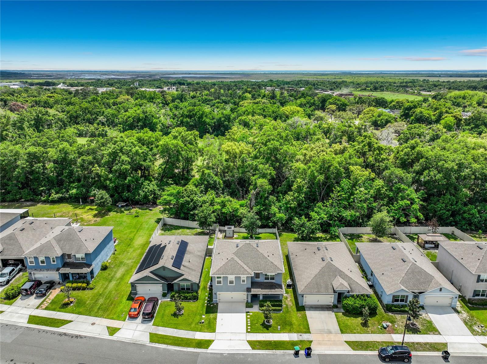 3657 CRIMSON CLOVER DR, MOUNT DORA, FL, 32757