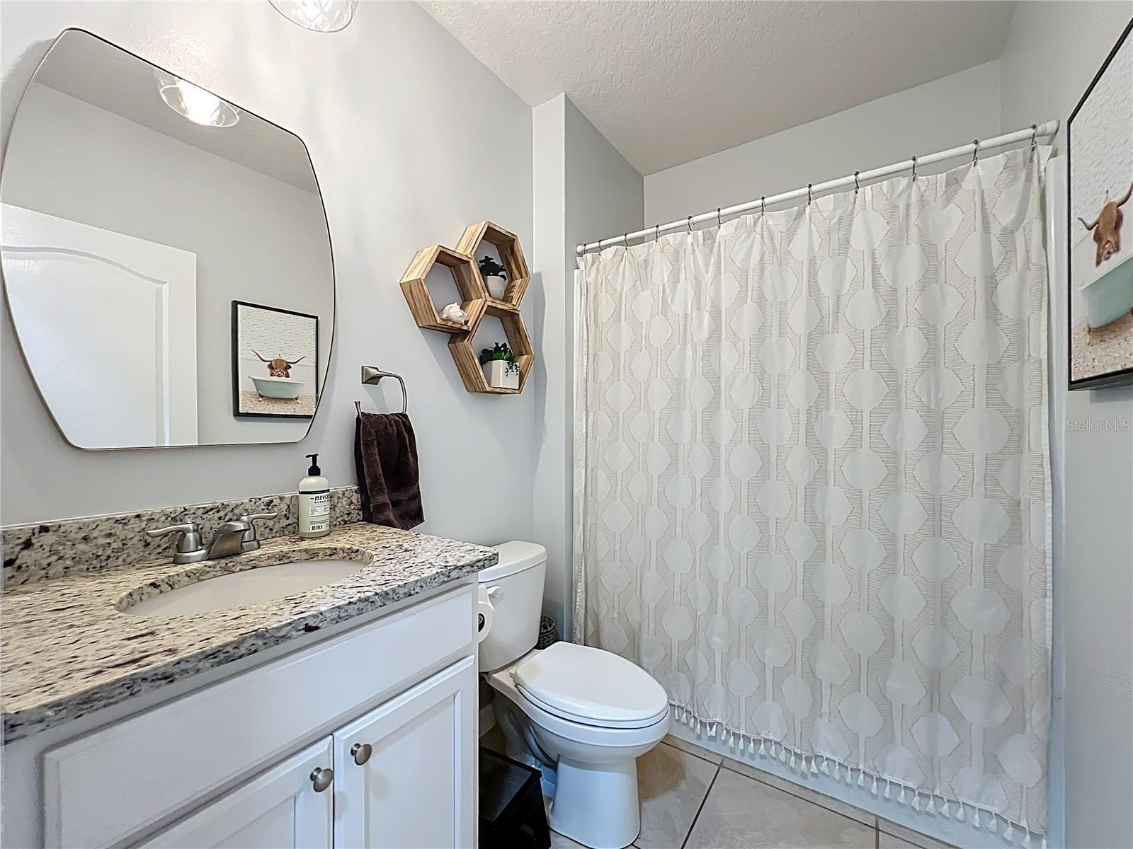 3657 CRIMSON CLOVER DR, MOUNT DORA, FL, 32757