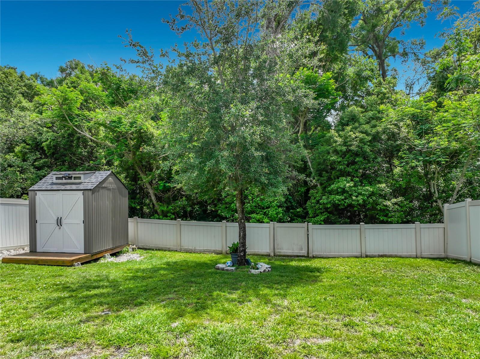 3657 CRIMSON CLOVER DR, MOUNT DORA, FL, 32757