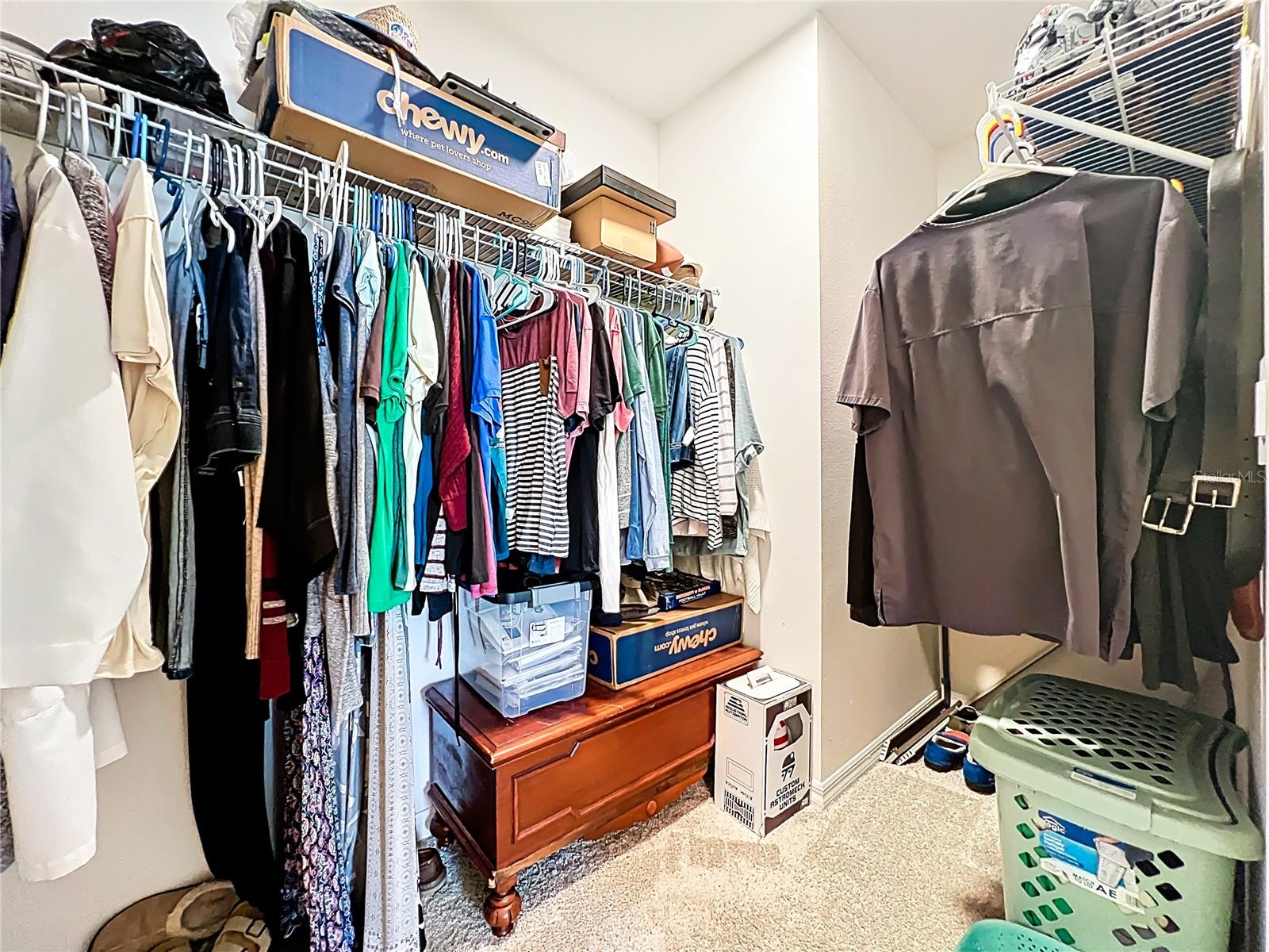 3657 CRIMSON CLOVER DR, MOUNT DORA, FL, 32757