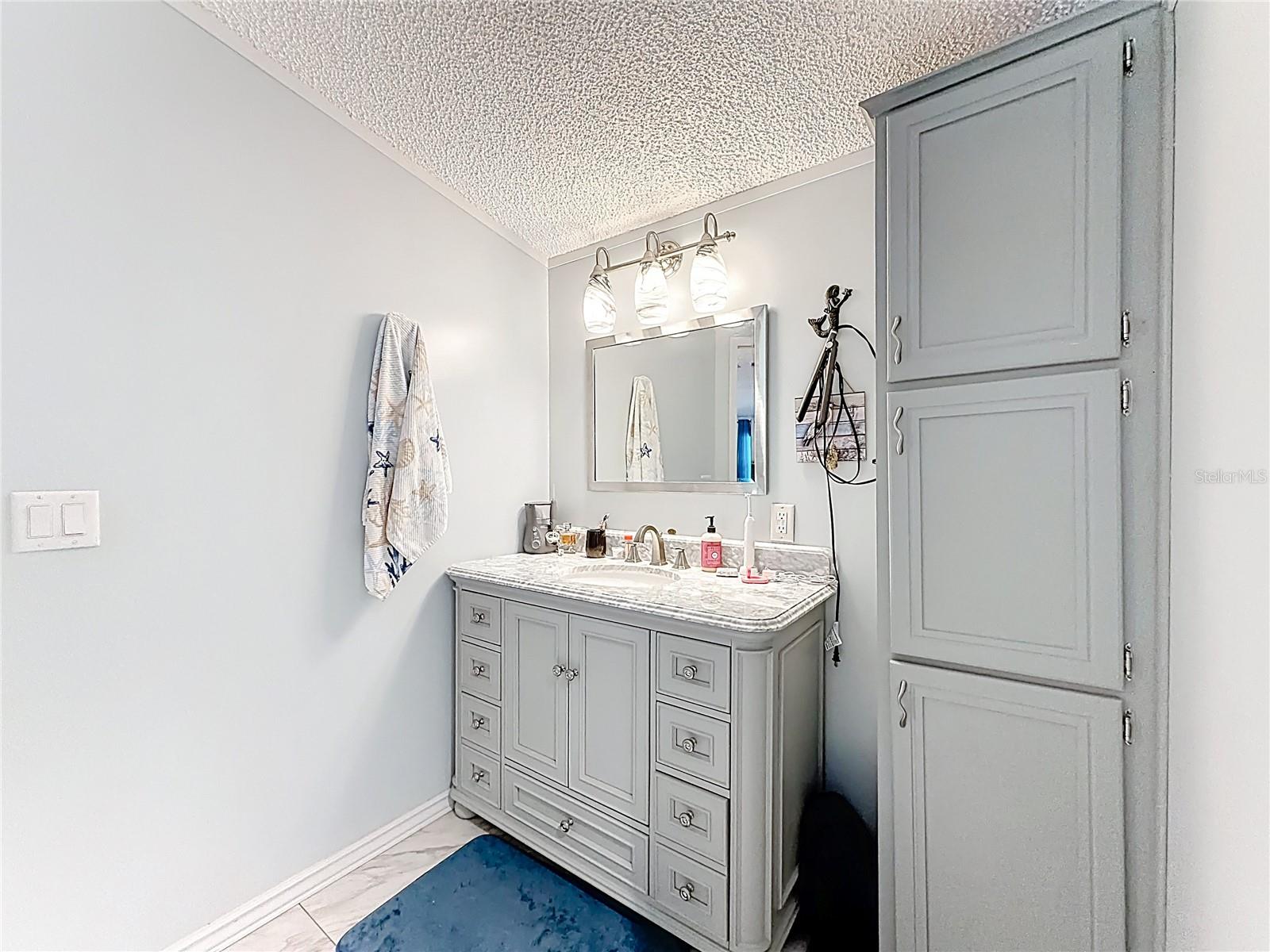 2523 KAREN DR, MOUNT DORA, FL, 32757
